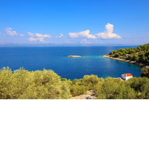 Vacation House Biondina