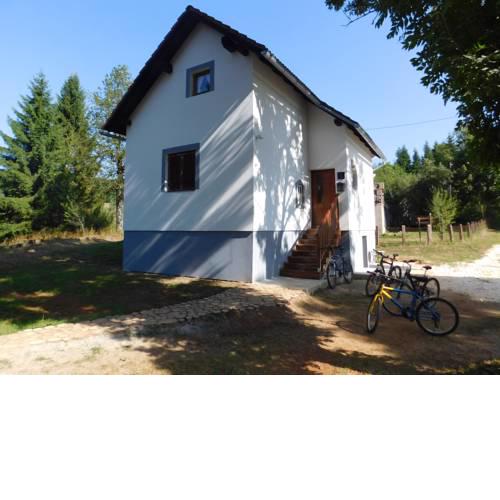 Vacation House Home