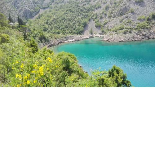 Velebit Sea Pearl