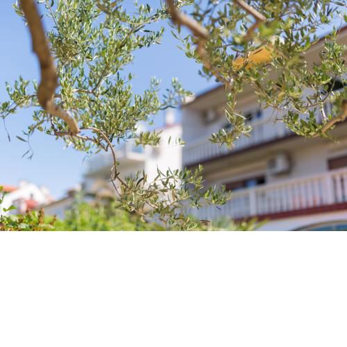 Vesna Parat Apartments and Rooms