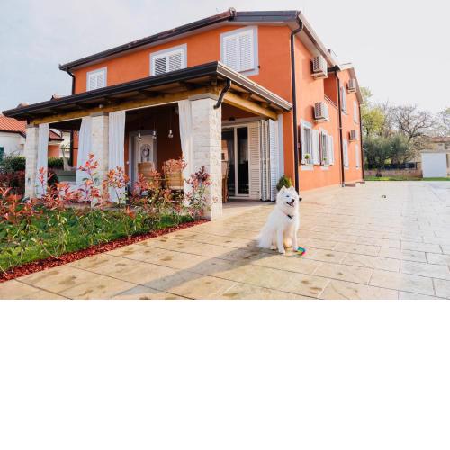 Vila Bianca