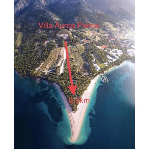 Villa Aurea Palma