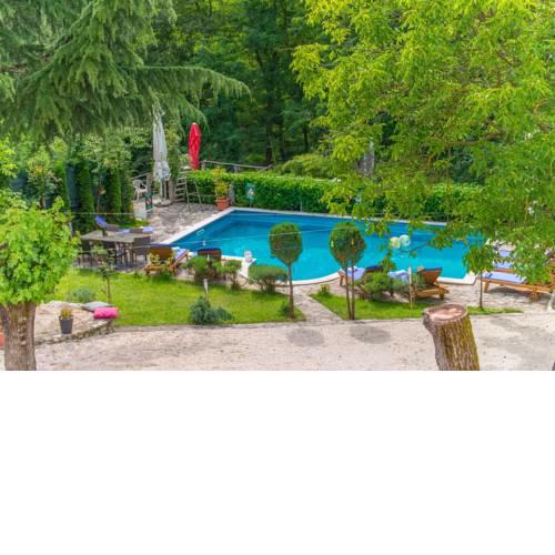 Villa Damiana in Zminj/Istrien 36101