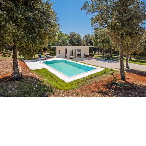 Villa David