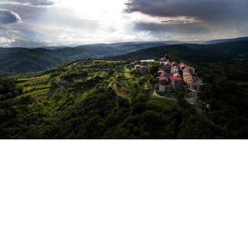 Villa Green Forest