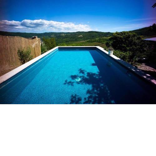 Villa Luna house whit the pool in heart of Istria