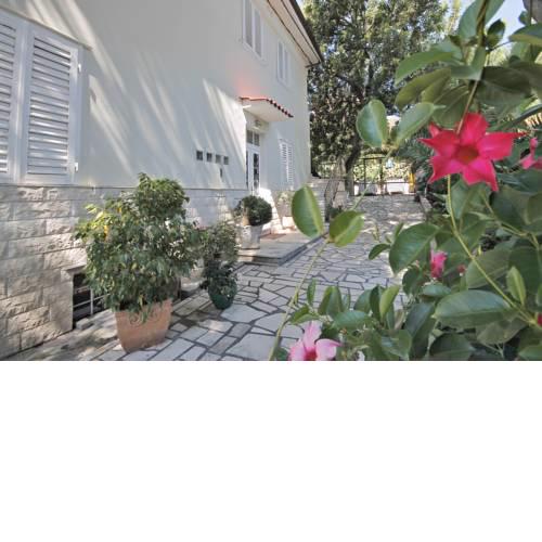 Villa Martinis