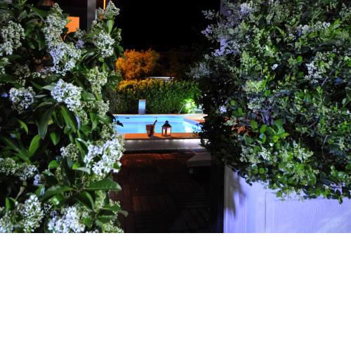 Apartments & Rooms Villa Maslina