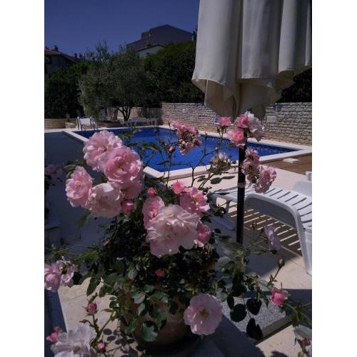 Villa M.COCO
