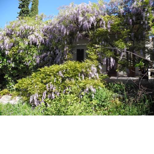 Villa Miro