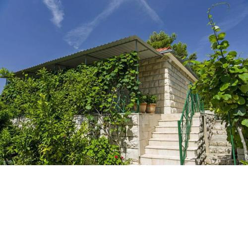 Villa Nikola