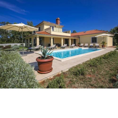 Stylish Villa with Swimming Pool in Vizinada