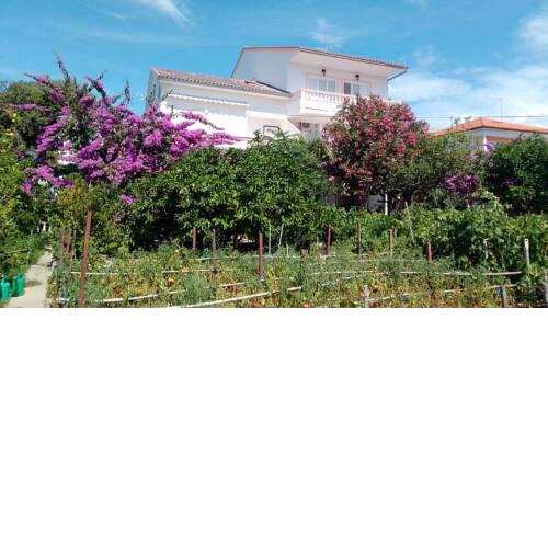 Villa Petar