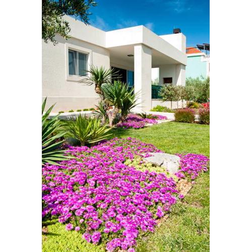 Villa VinSun