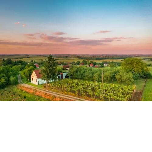 Village Wine House