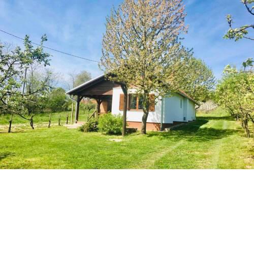Vineyard, house with sauna, peace, self-check-in..