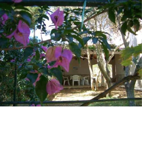 VisForYou Apartments