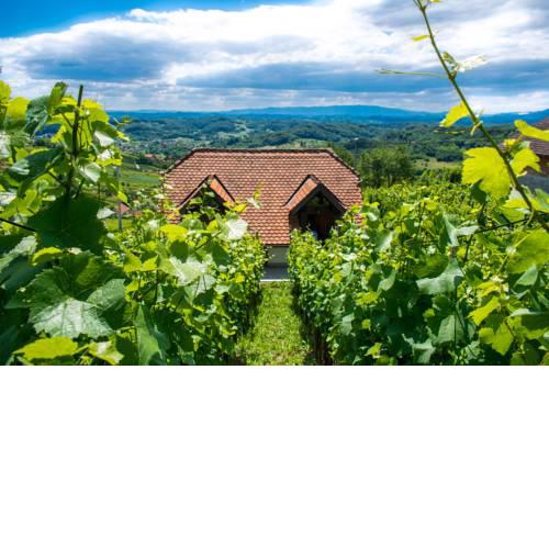 Wine Hill Rest House