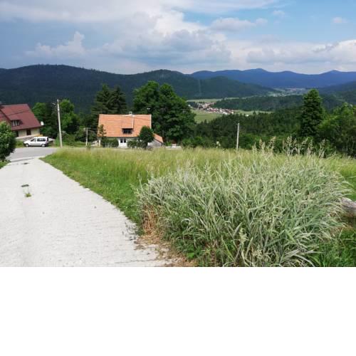 Zeleni brig